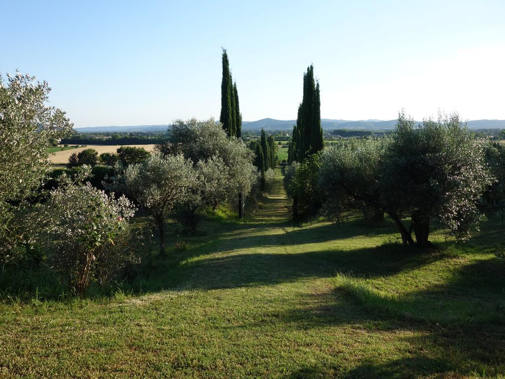 Bed and Breakfast Bella Di Ceciliano Ареццо Экстерьер фото